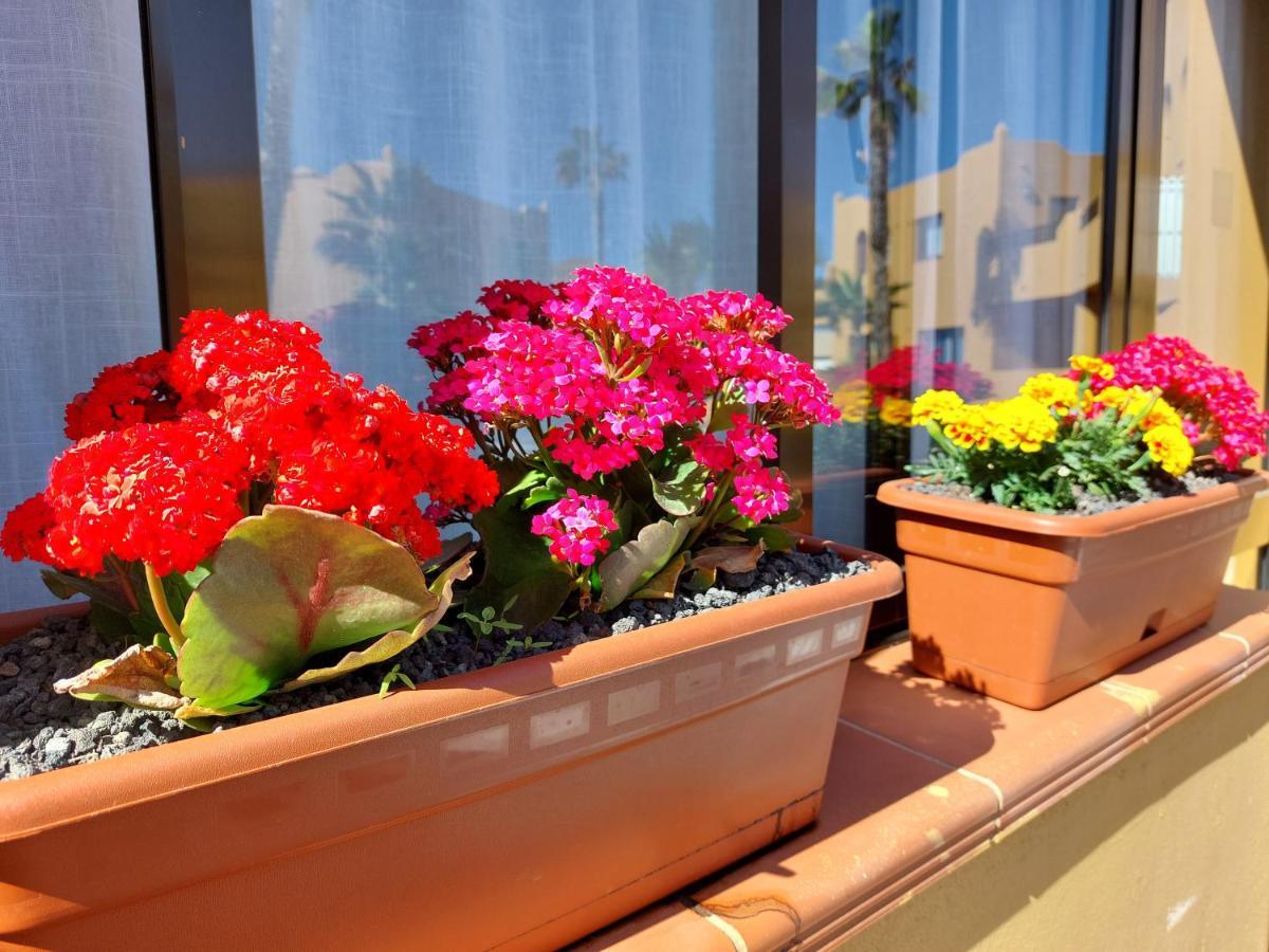 Casa Ledu - Sunny Holiday In Fuerteventura 科拉雷侯 外观 照片